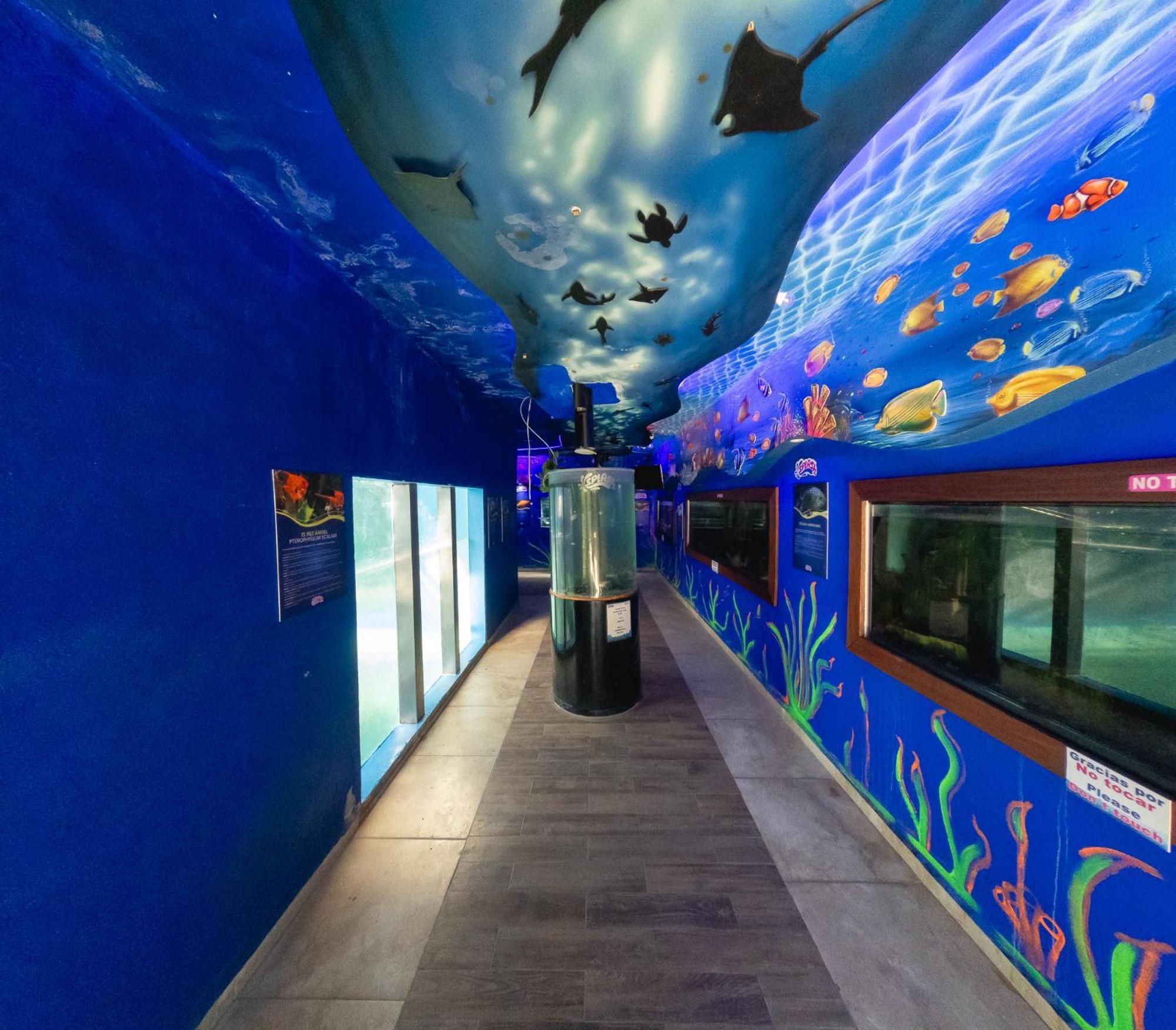 Splash Inn Nuevo Vallarta & Parque Acuatico מראה חיצוני תמונה
