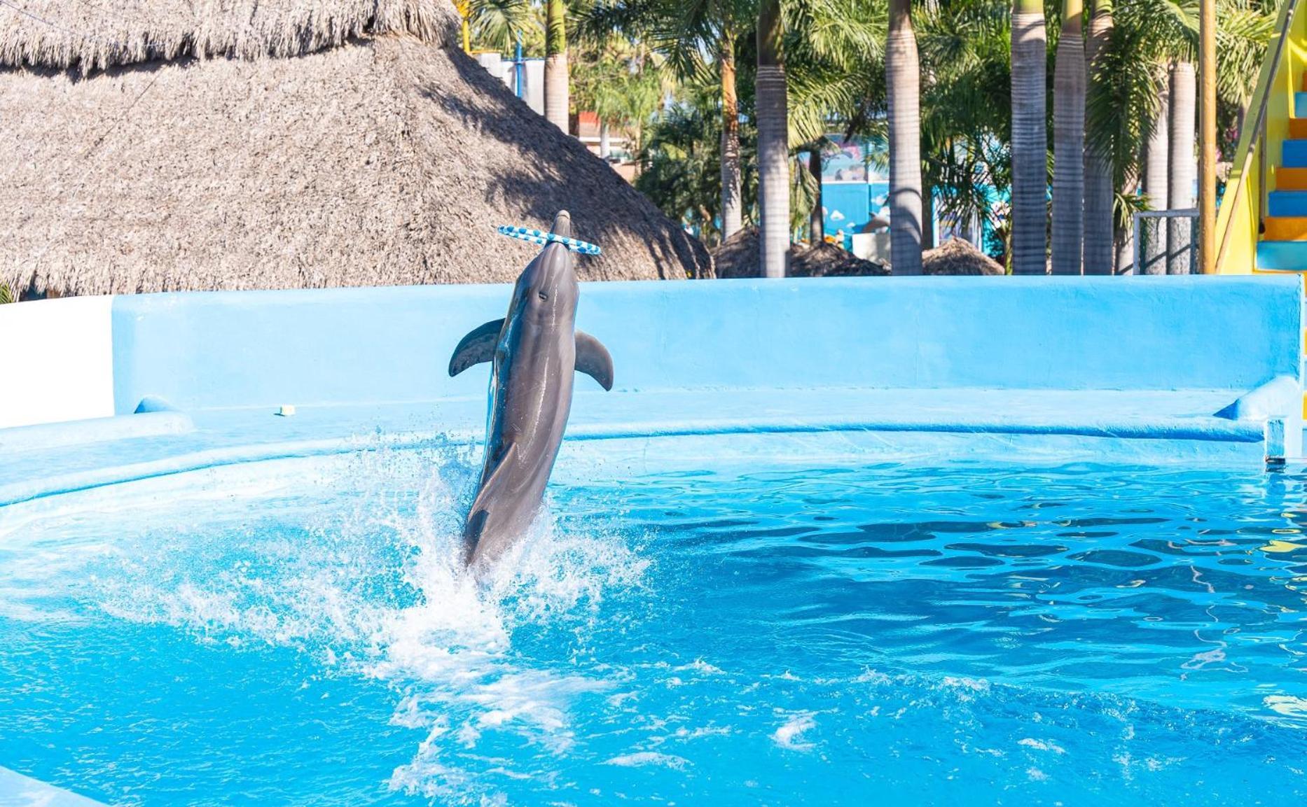 Splash Inn Nuevo Vallarta & Parque Acuatico מראה חיצוני תמונה